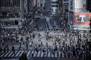 people, walking, concrete, road, buildings, shibuya, intersection, skyline, outdoors, building, tokyo