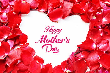 happy, mother, day text overlay, april, background, beauty, bloom, blossom, bouquet, bow, box