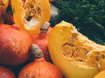 pumpkin lot, green, grasses, close, photography, round, sliced, squash, pumpkins, halloween, nature