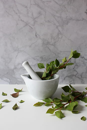 minomet, lék, léčivé rostliny, lékárna, Příroda, zelená, flóra, aroma, vůně, divoká rostlina, minimalistický