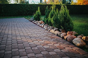 jardim de outono, cachorro, jardim, pedras, folhas, outono, paralelepípedos, passeio, ao ar livre, pedra Material, calçada