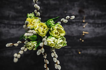 pequeno, amarelo, flores, amentilhos, jarra de vidro, pouco amarelo, flor, flora, jar, buquê, natureza