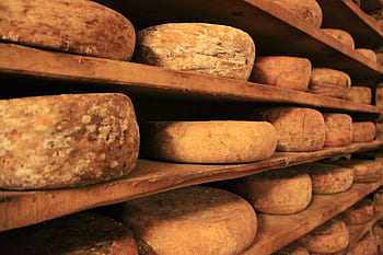 close-up photography, breads, cheese, cheese wheel, cheese truckle, food, dairy, round, milk, product, traditional