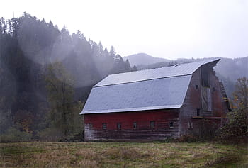 šedá, Červené, Dům, obklopen, strom, střecha, malované, u, hora, stodola, kůlny
