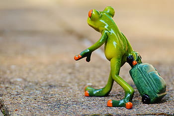 tree frog, holding, luggage, ceramic, figurine, frog, farewell, travel, holdall, go away, holiday
