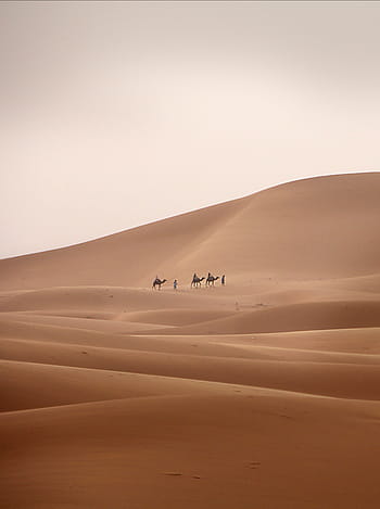 three, person, riding, camel, man, walking, sand, desert, caravan, dromedary, desert ship