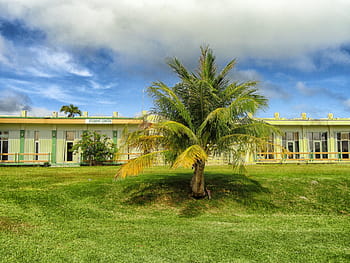 guam, vysoká škola, škola, budova, architektura, dlaň, palma, hdr, nebe, mraky, krajina