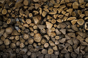aereo, guarda la fotografia, Marrone, lotto di tronco, ceppo, lotto, giorno, legna, logs, legname, struttura