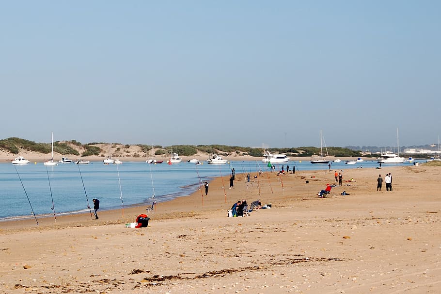 moře, pláž, nebe, costa, voda, svatý Petri, chiclana, rybář, třtina