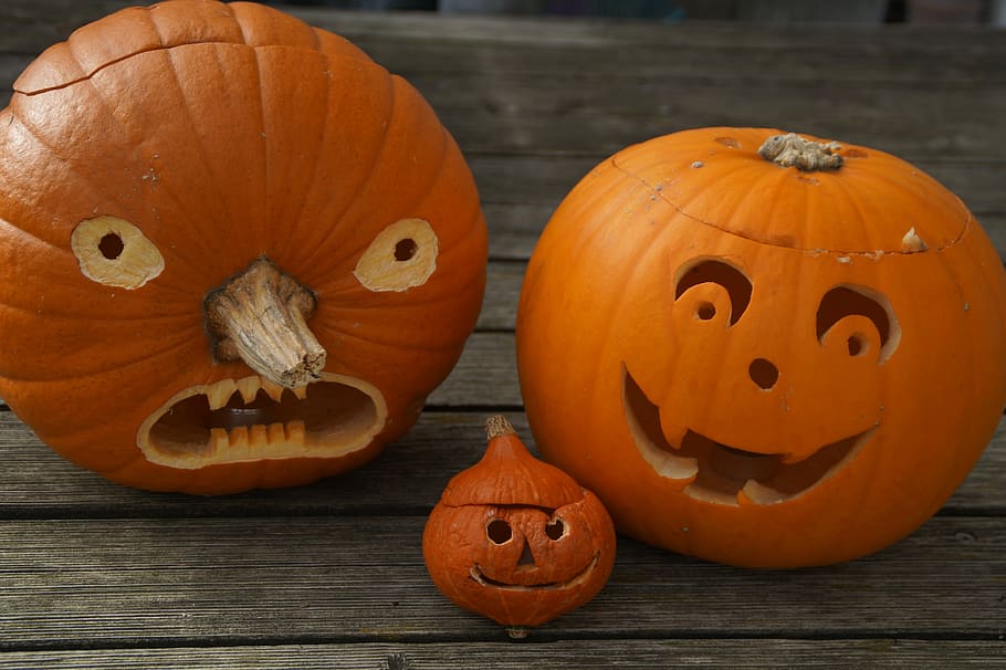 Pumpkin, Face, Halloween, pumpkin face, autumn, fun, decoration, pumpkin ghost, halloweenkuerbis, fash, children
