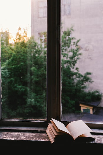 opened, book, window, glass, shield, read, literature, reading, education, indoors