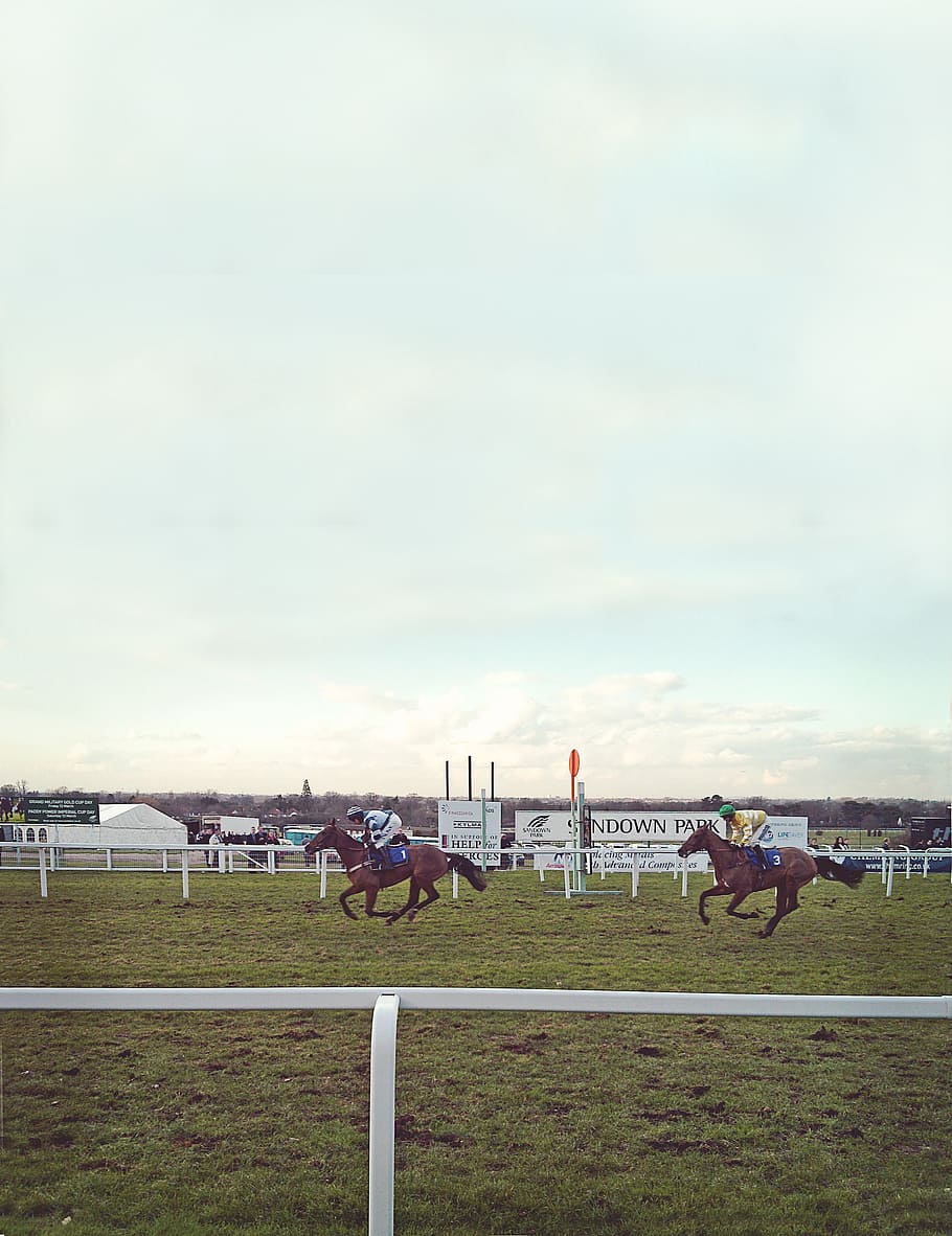 horses, bet, horseracing, grunge, animal, race, sport, competition, equestrian, racehorse, racing