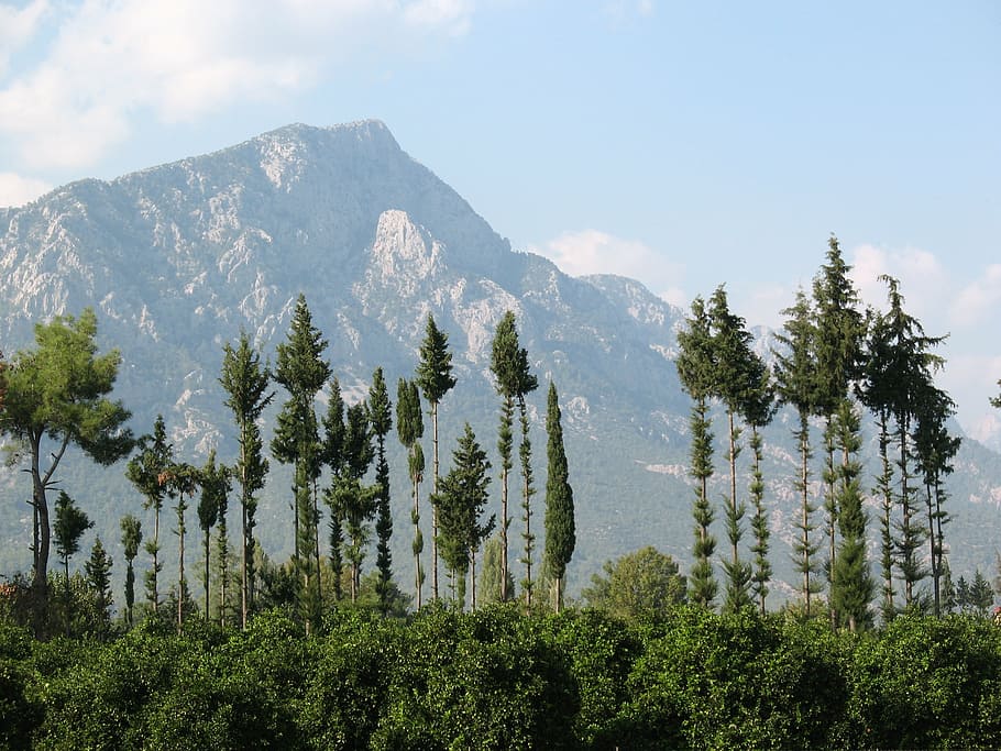 ไก่งวง, ภูเขา, ต้นไม้, ธรรมชาติ, การเดินทาง, Kemer, ความงาม, ป่า, ภูมิประเทศ, scenics, กลางแจ้ง