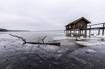 brown tree branch, ammersee, boat house, frozen, water, lake, web, bavaria, landscape, mirroring, waters