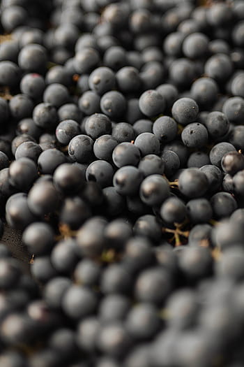 frutas, frutas vermelhas, saudável, ecológico, vegan, uvas, amoras, framboesas