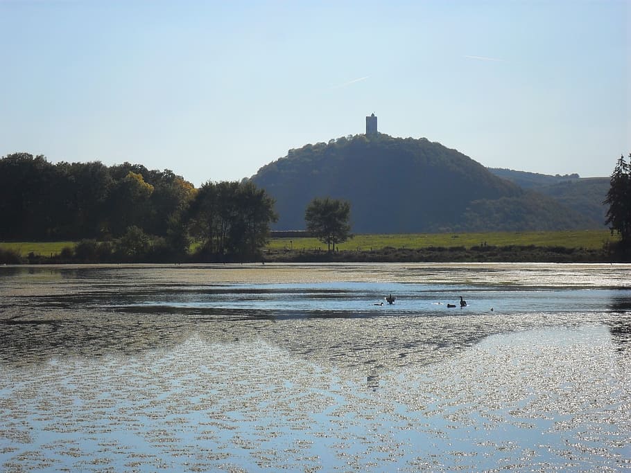 rodder maar, brohltal, Maar, vod, vulkaneifel, krajina, les, nálada, Příroda, modrá obloha, žádný mrak