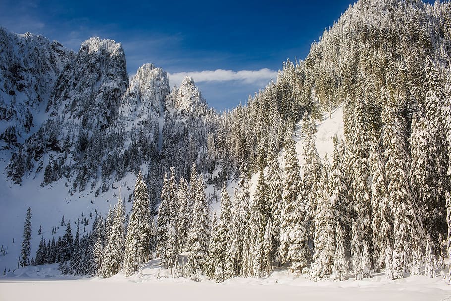 Wyoming, paesaggio, foresta, alberi, boschi, la neve, inverno, valle, prato, natura, all'aperto