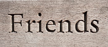gli amici hanno scolpito il segno, amico, intaglio, legna, amicizia, compagno, compagnia, serif, font, testo, leale