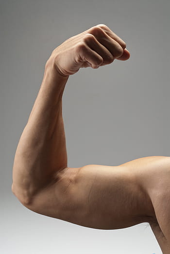 man flexing muscle, arm, muscle, strong, biceps, exercise, fitness, bodybuilding, adult, male, gym