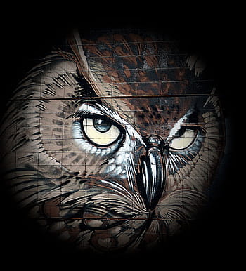 Drawing, Bird, Eagle Owl, owl, art, animals, wildlife photography, feather, wild bird, eyes, weird bird