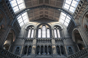 nízký úhel pohledu, skleněné stropní budovy, interiér, architektura, budova, infrastruktura, design, muzeum, kostel, uvnitř, okno