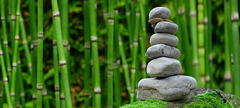 zaměření fotografie, cairn, bambusové stromy pozadí, zen, zahrada, rozjímání, mnich, kameny, bambus, odpočinek, relaxace