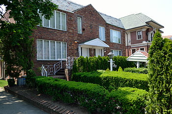 queens, new york city, home, residential, garden, hedges, nyc, neighborhood, block, suburb, middle class