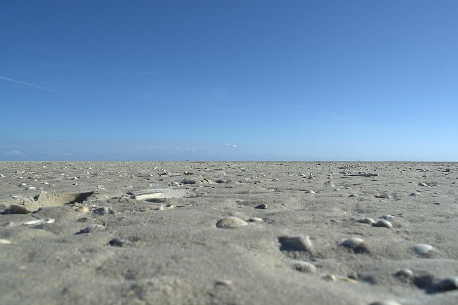 norderoogersand, protection zone, noorderuug söön, north frisian außensände, national park, schleswig-holstein wadden sea, sandbar