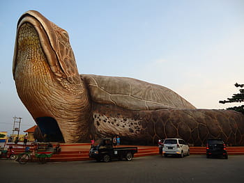 vehicles, huge, giant turtle art installation, clear, skies, kura kura, the giant turtle, kartini's beach