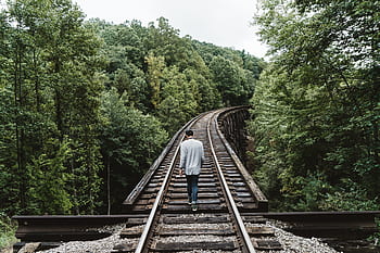 people, man, alone, walking, travel, trees, green, plant, nature, railway, track