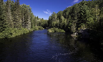 riverway landscape, Scenic, Riverway, landscape, Peshekee River, Van Riper State Park, Michigan, forest, photos, majestic, nature