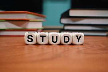 study cube letter, brown, wooden, board, study, school learn, education, studying, book, wood - material, number