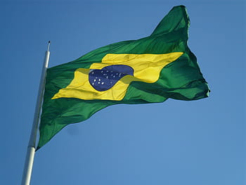 selective, focus photography, brazil flag, brazil, flag, green and yellow, independence day, symbol, blue