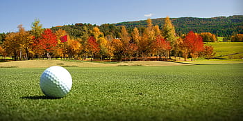 golf, golf ball, wallpaper, background, wall paper, ball, sport, grass, green, tee, golfing