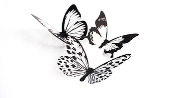 butterflies, crafts, silhouette, art, design, black and white, isolated, objects, white background