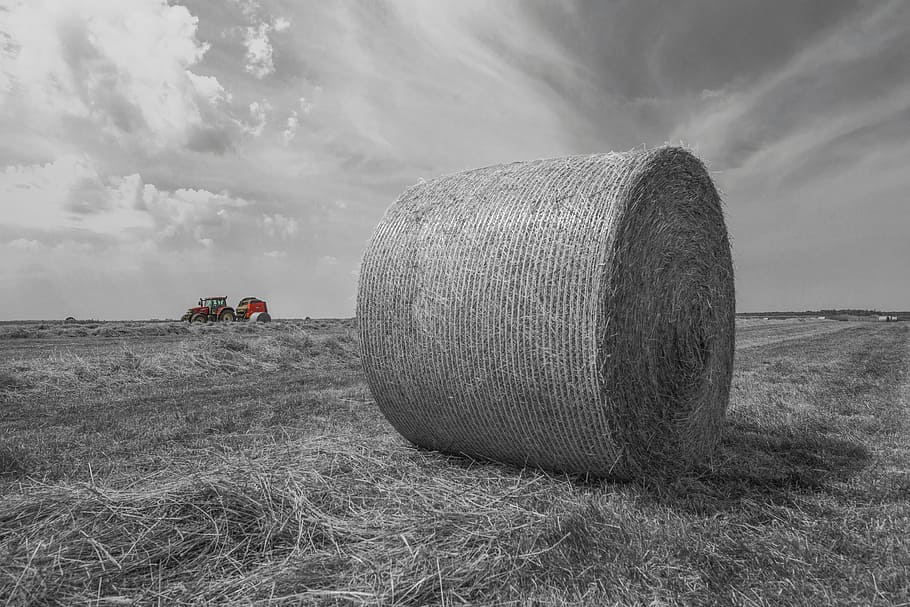 hay bales, tractor, harvest, field, mood, sun, nature, arable, straw, fields, round bales