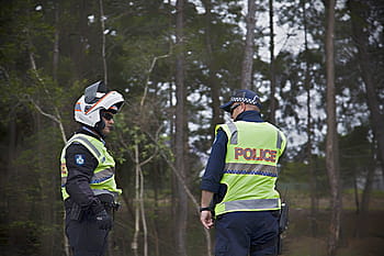 dva, policisté, stojící, les, policie, důstojníci, bezpečnostní, zákon, vynucení, jednotný, zločin