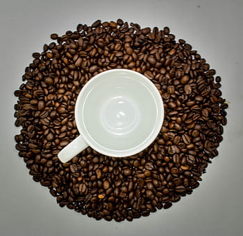 makes, world, go, round, Coffee, world go round, beans, coffee beans, cup, bean, drink