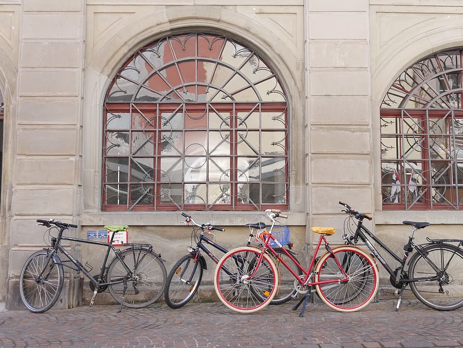 mountain biking, bike, sport, tire, wheel, cycling, bicycle, two wheels, pedal, hobbies