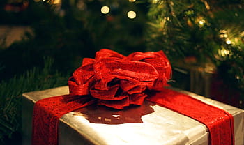 red, gray, gift box, christmas tree, close, brown, present, gift, bow, ribbon, wrapping