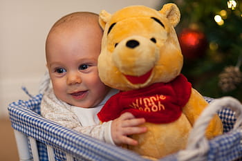 παιδί, κράτημα, winnie, ποο, είδος βελούδου, παιχνίδι, μωρό, αγόρι, Χριστούγεννα, χαριτωμένος, μάτια