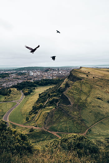 birds, flying, mountains, crows, grass, hills, sky, nature, outdoors, outside, country