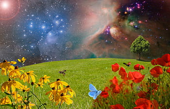 multicolored, galaxy, meadow, green meadow, flower meadow, grass, nature, blade of grass, landscape, flowers, grasses