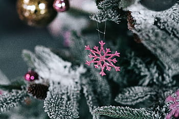dekorasi pohon natal, pohon Natal, dekorasi, pohon, natal, bola Natal, xmas, bola, musim dingin, ornamen natal, salju