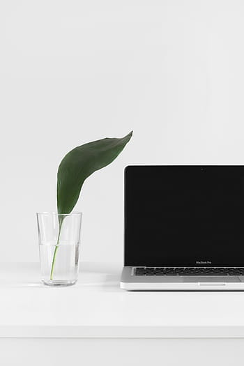 macbook, pro, vedle, Průhledná, skleněná váza, laptop, jablko, klávesnice, technologie, mac, aplikace