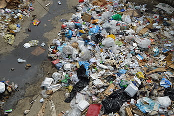 sortidas, lixo, estrada, poluição, despejo, lixeira, reciclagem, anti-higiênico, sujo, meio ambiente Danos, danificado