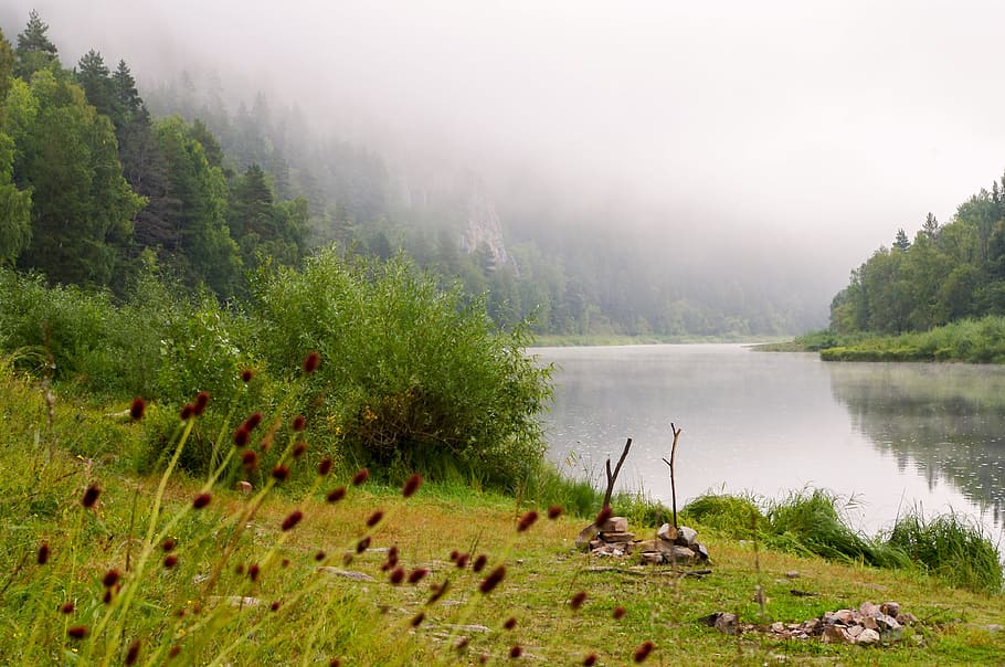 nature, water, landscape, grass, river, tree, cloud, mountain, reflection, travel, summer