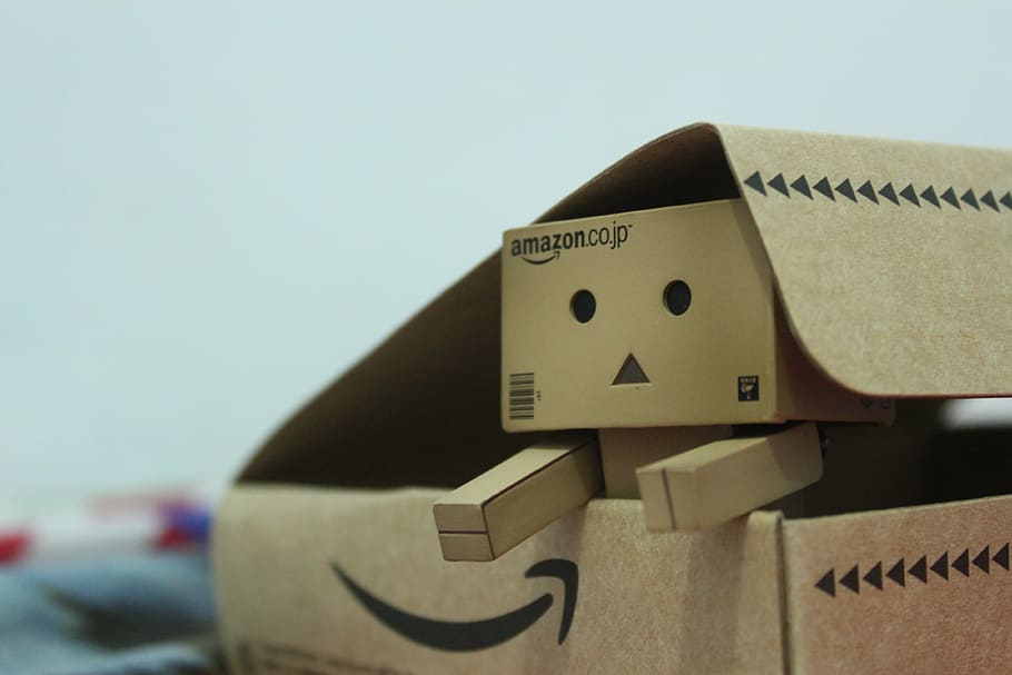 danbo, action figure, cute, doll, figure, action, love, expression, mood, face, model