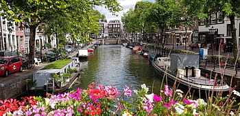 amsterdam, netherlands, flowers, holland, channel, dutch, water, sky, bridge, city