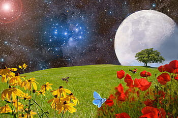 red, yellow, flowers, green, grass field illustration, green grass, grass field, illustration, meadow, green meadow, flower meadow